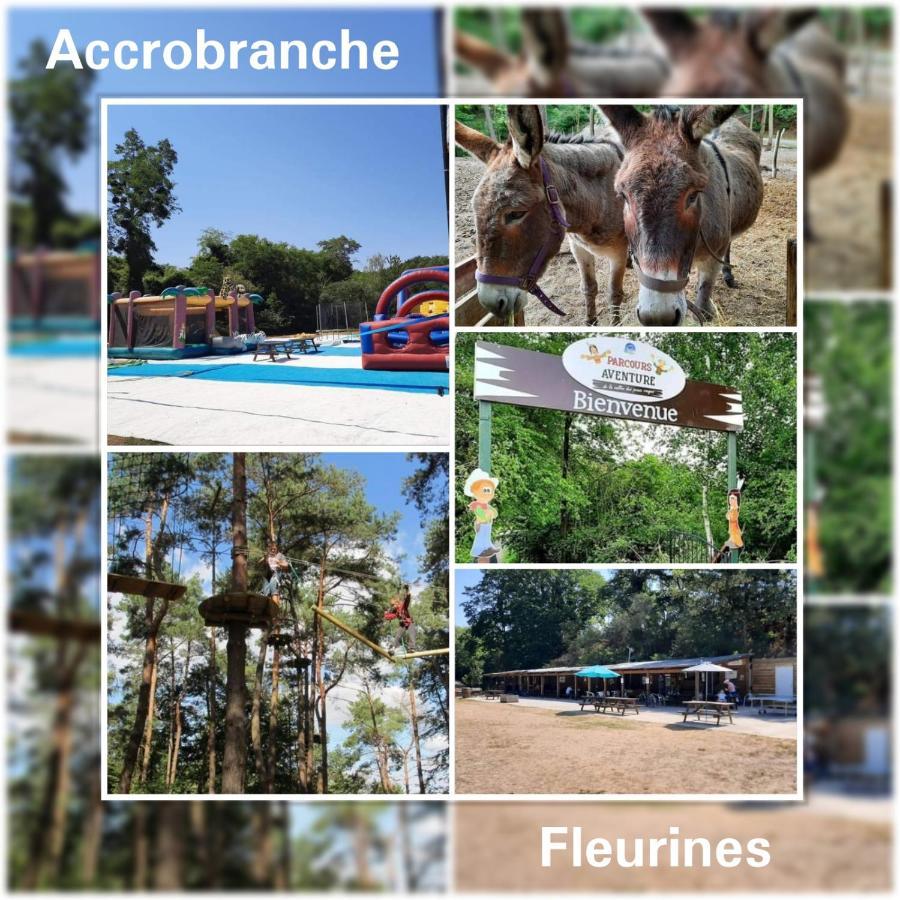 Fleurines Wisteria Cottage מראה חיצוני תמונה